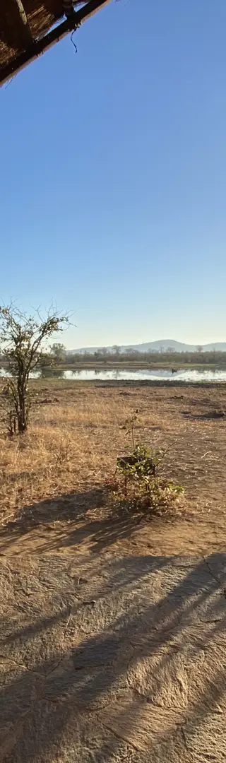 Mein Highlight – der Gonarezhou-Nationalpark